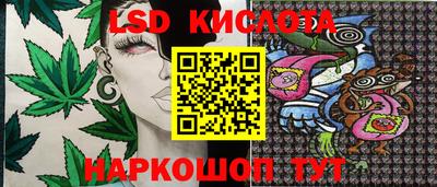 гашик Свободный
