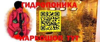 гашик Свободный